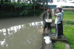Picture-495-2